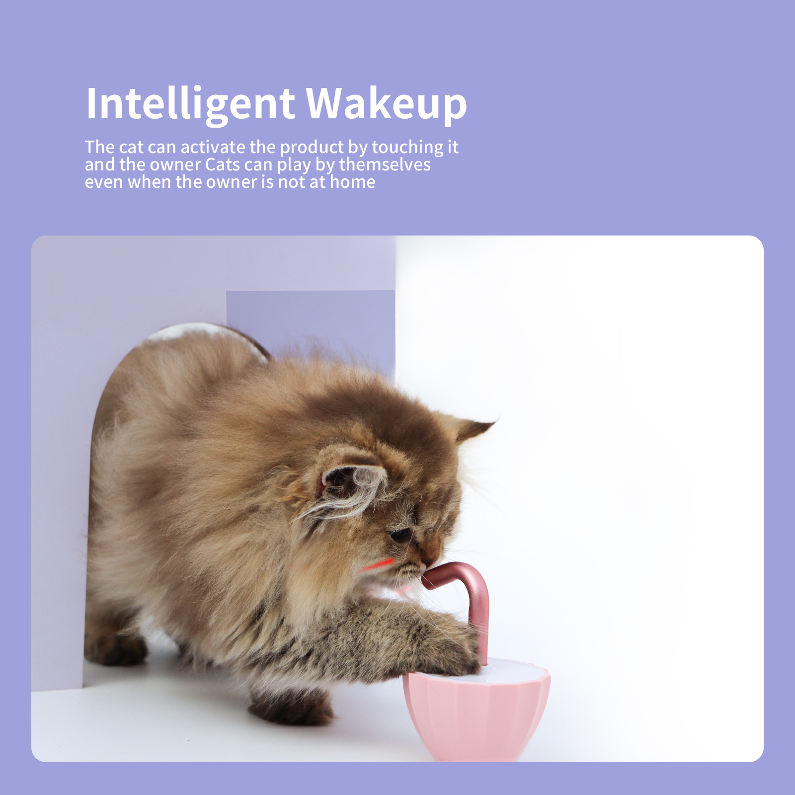 Automatic Laser Light Cat Toy - Image 5