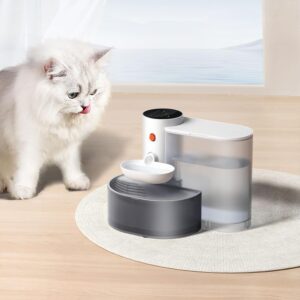 Smart Cat Water Fountain – Self-Refilling & Sewage Separation