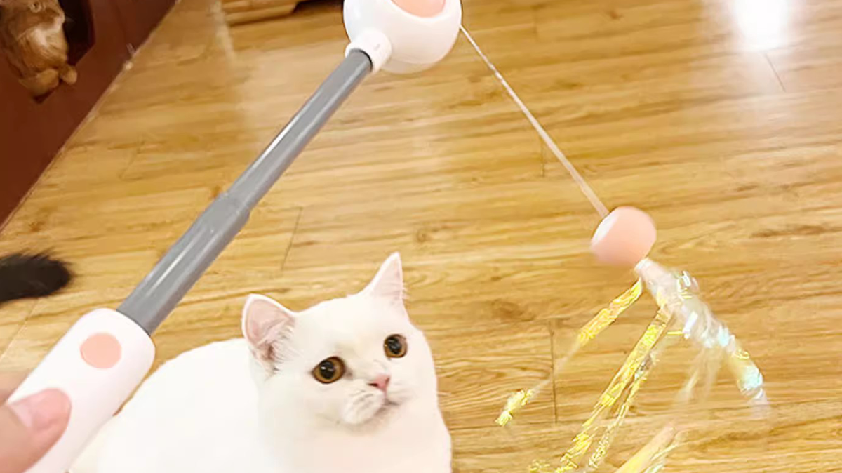 Choose the best cat stick toys