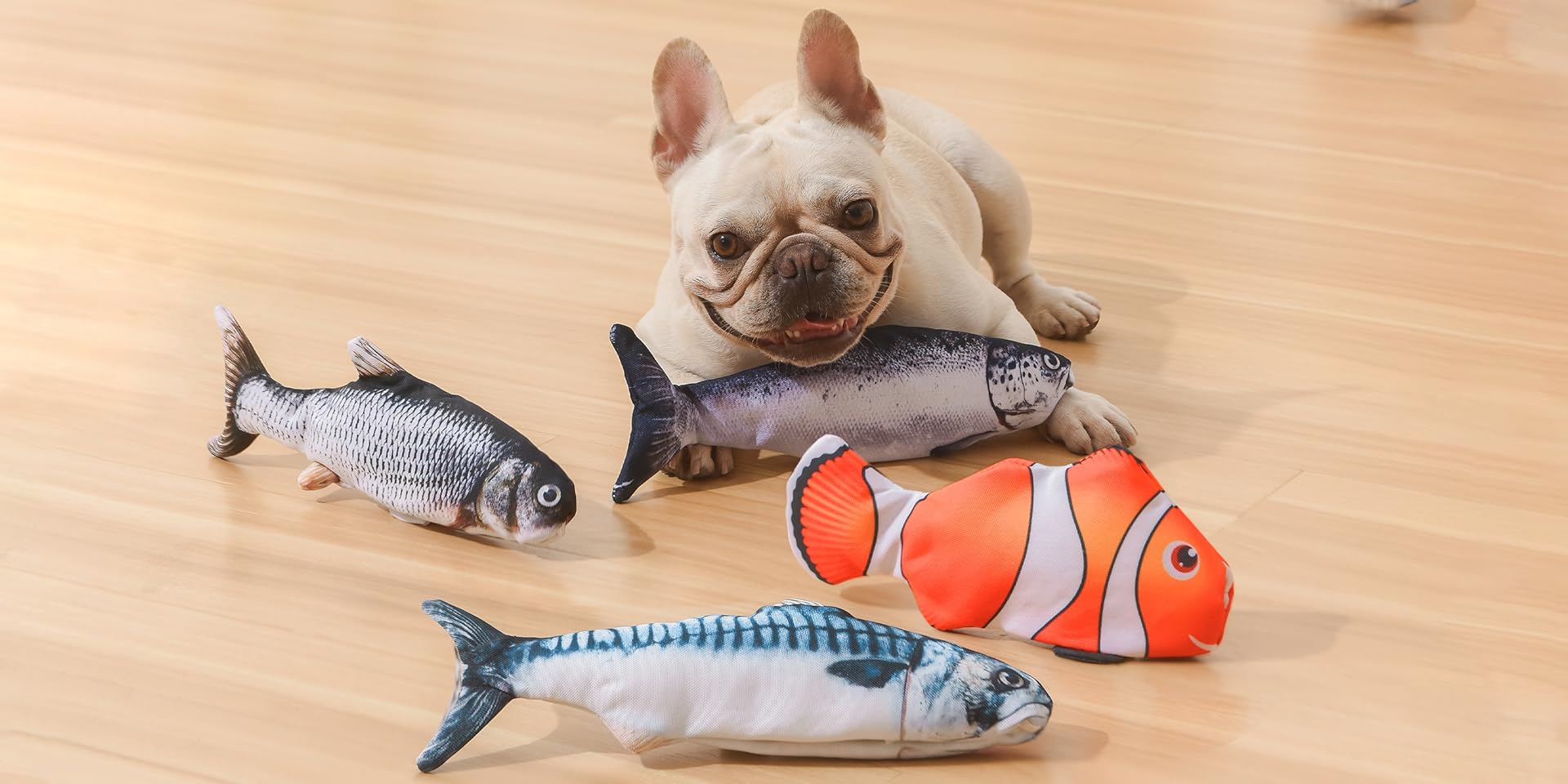 Favorite toys for small dogs?