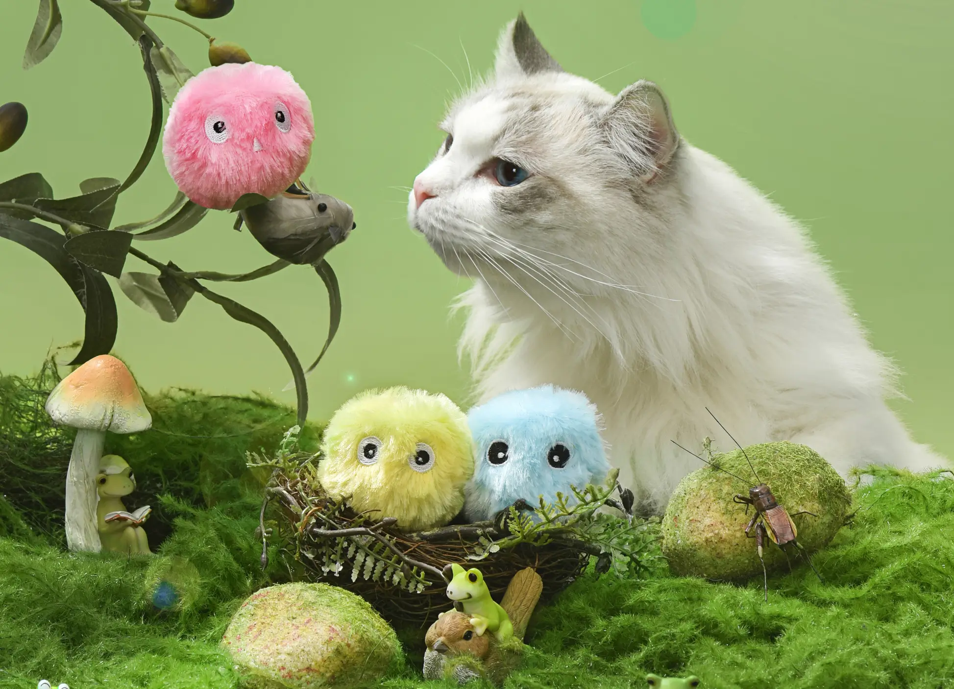 Best Organic Catnip Toy