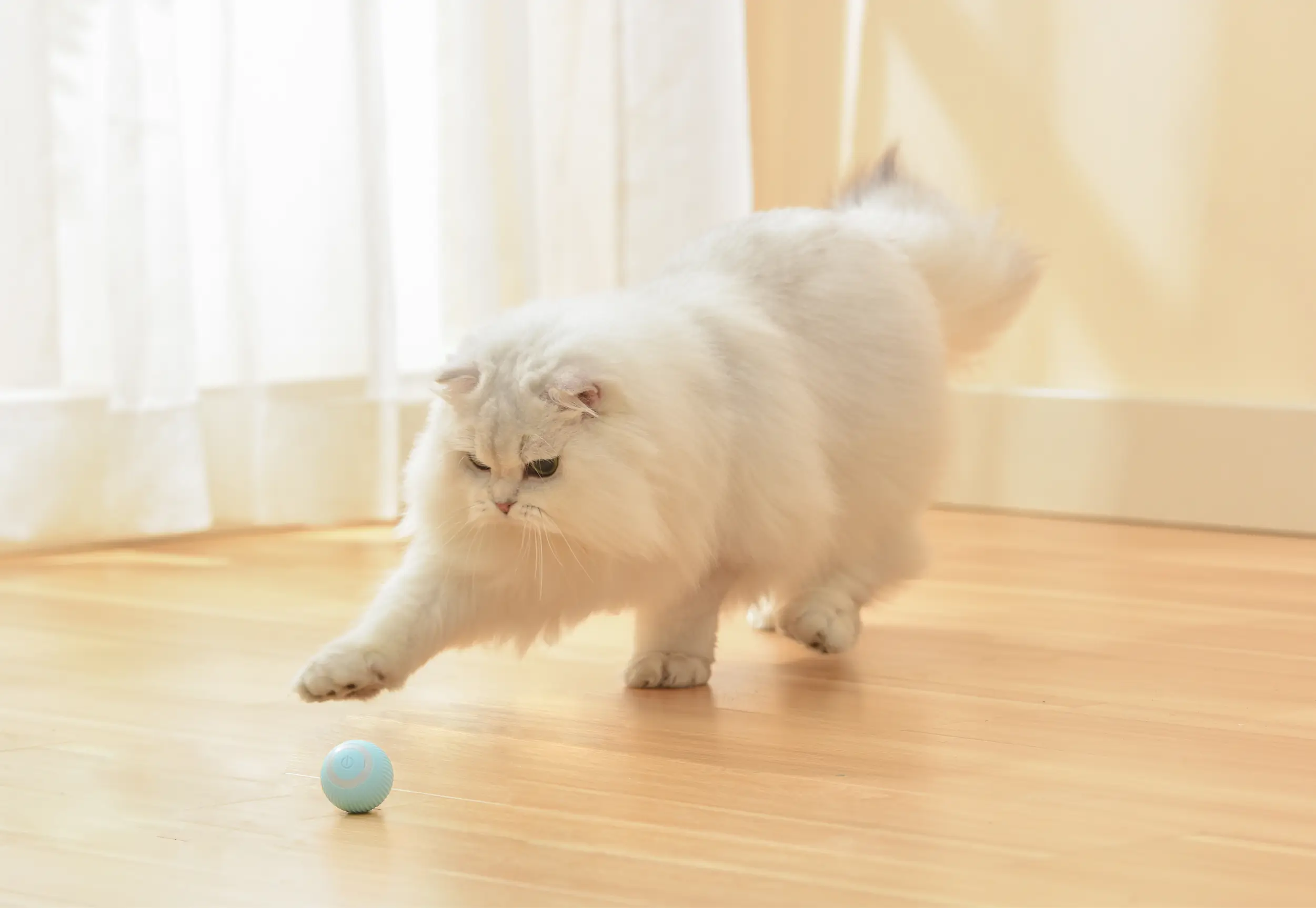 Smart Cat Toy Interactive Ball